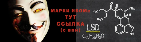 хмурый Алексин