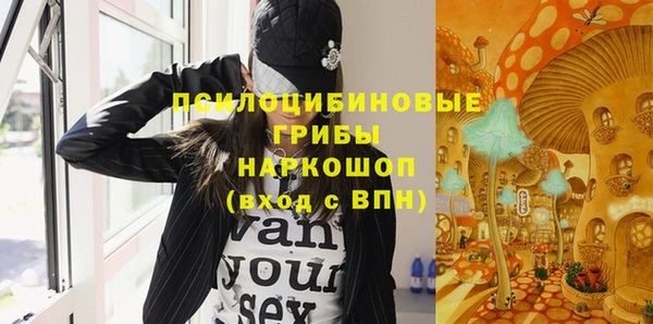 не бодяженный Арсеньев