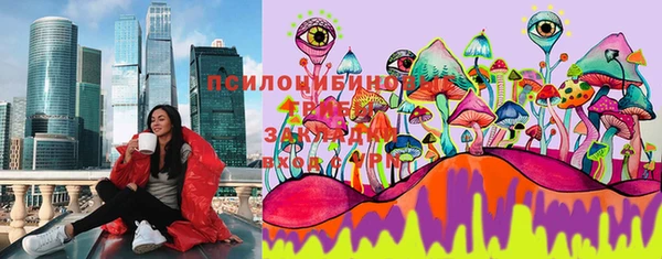 хмурый Алексин