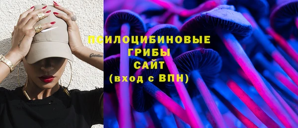 хмурый Алексин